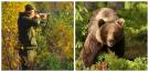 Camera Deputatilor a aprobat legea pentru vanatoarea de ursi bruni