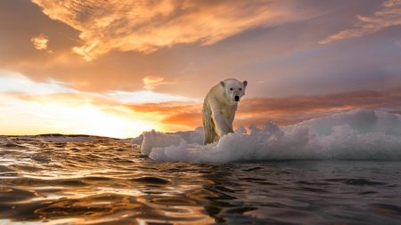 Studiu: Schimbarile climatice si topirea ghetarilor pot prelungi durata zilelor si pot remodela Pamantul