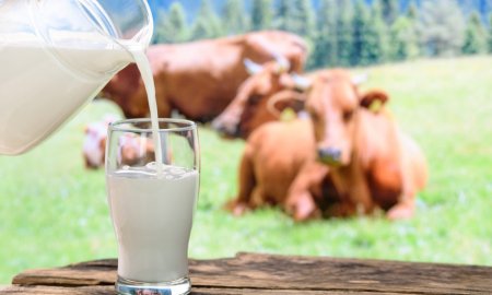 INS: Importurile de lapte brut au crescut cu 45%, in primele cinci luni