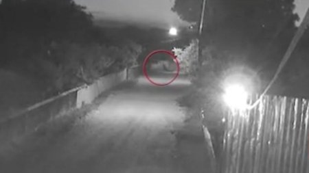 Imagini cu suspectii care tarasc un geamantan in care a fost gasit corpul unui barbat. : I-am auzit pe strada cand il carau