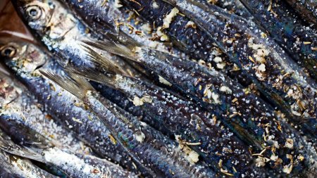 Sardeluta marinata: Noul produs romanesc recunoscut in UE. Lista completa a alimentelor cu Indicatie Geografica Protejata