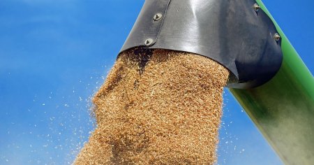 Romania, cel mai mare exportator de cereale din UE in primele saptamani ale sezonului 2024 - 2025