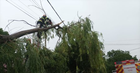 Furtuna a facut ravagii in Bucuresti. Copacii au fost doborati de vant pe mai multe strazi! Ploua aproape in toata Romania