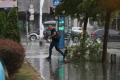 Efectele furtunii din Bucuresti si Ilfov: Zeci de copaci cazuti, un stalp pus la pamant si o schela prabusita