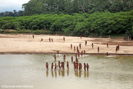 Imagini extrem de rare cu un trib indigen care traieste in padurea Amazonului fara <span style='background:#EDF514'>CONTACT</span> cu lumea