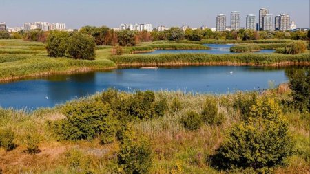 Parcul Natural Vacaresti are, incepand de luna aceasta, un serviciu privat de pompieri si va avea si un sistem de hidranti