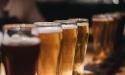 Productia mondiala de bere scade pe fondul unei supraoferte de hamei