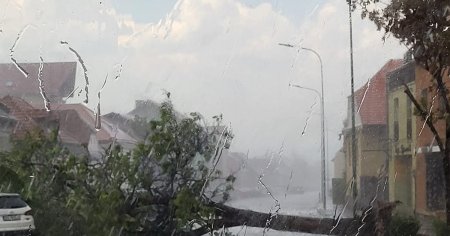 Traficul este blocat in zona semicentrala a Brasovului din cauza conditiilor meteo: furtuna a scos din radacini un copac FOTO