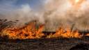 11 incendii in <span style='background:#EDF514'>DELTA DUNARI</span>i in doua zile. Peste 900 de hectare de vegetatie au fost mistuite de flacari