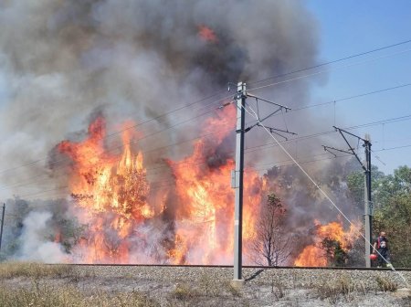 Trafic feroviar oprit pe doua rute din Regionalele Bucuresti si Craiova, din cauza incendiilor de vegetatie. Cate trenuri sunt afectate