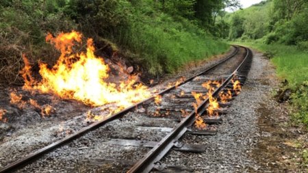 Si astazi incendiile de vegetatie au blocat traficul feroviar