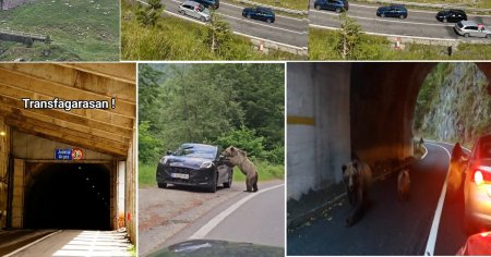 De ce circula in continuare TIR-urile pe Transfagarasan. Suspiciuni de spaga pe Valea Oltului pentru tranzit