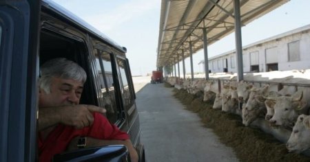 Un fermier a convins romani plecati din tara sa revina acasa pentru salarii de 15.000 de lei