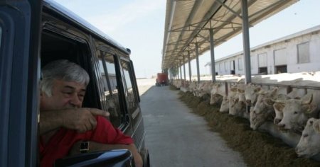 Un fermier a convins romani plecati din tara sa revina acasa pentru <span style='background:#EDF514'>SALARII</span> de 15.000 de lei