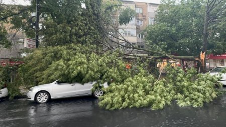 Furtuna devastatoare in Medgidia: Inundatii masive si copaci prabusiti pe masini