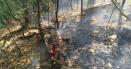 Incendiu de padure in Defileul Jiului. Focul s-a extins pe 10.000 de metri patrati