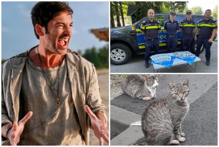 Concurent de la „Insula Iubirii” cercetat de politie. A aruncat pisoii <span style='background:#EDF514'>IUBITE</span>i de la etaj