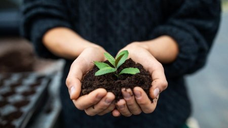 Manifest Green Woman, o chemare la actiune pentru toate femeile, de a se implica activ in protejarea mediului