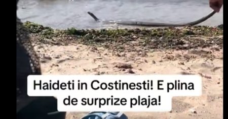 Aparitie de cosmar: un sarpe de doi metri, filmat pe litoral. Ce facem in astfel de cazuri VIDEO