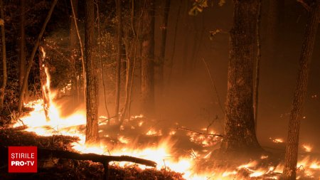 Atentionare de calatorie transmisa de MAE. Pericol de extindere a unor incendii de vegetatie in Slovenia