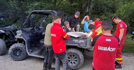 Cioban muscat de un urs. Salvamont: Animalul - cunoscut ca foarte agresiv - inca este in zona