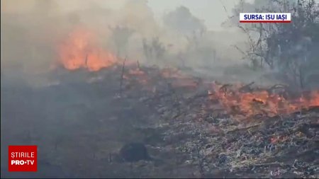 Incendiu de vegetatie uscata la Iasi. Localnicii au dat foc unor portiuni de teren