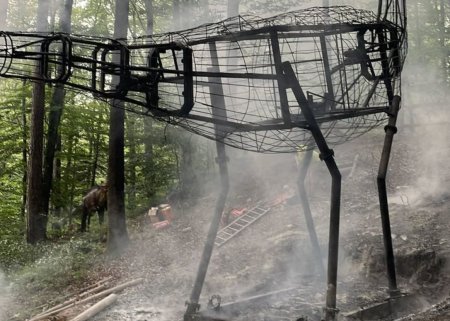 Incendiu la <span style='background:#EDF514'>DINO PARC</span> din Rasnov. Un dinozaur de zece metri a luat foc. VIDEO