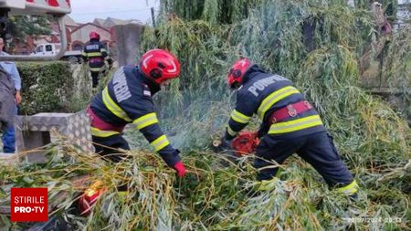 Alimentarea cu electricitate, intrerupta intr-un oras din Hunedoara din cauza unor crengi rupte. Spitalul CFR este afectat