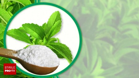 Stevia rebaudiana ca alternativa la zahar. Beneficii pentru sanatate