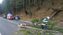 Un barbat din Arges a ramas blocat in autoturism dupa ce a lovit un copac, iar arb<span style='background:#EDF514'>ORELE</span> a cazut pe masina