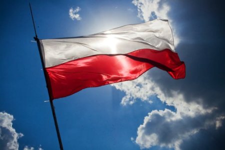 Polonia cere Uniunii Europene sa consolideze legaturile cu Washington pentru a contracara <span style='background:#EDF514'>DEZINFORMAREA</span> rusa inainte de alegerile din SUA