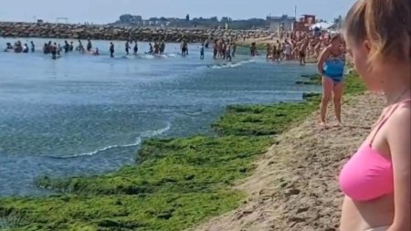 Turistii de pe litoral fac <span style='background:#EDF514'>SLALOM</span> printre munti de alge. Trebuie sa vina cineva sa le curete