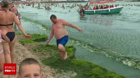 Algele i-au gonit pe turisti afara din apa, la Eforie, in timp ce temperatura marii ajungea la 29 de grade