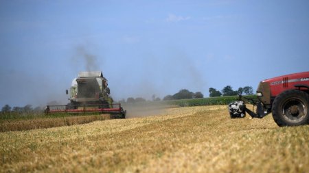 Buget-record de 4 miliarde de euro pentru agricultura, in 2024: Guvernul Ciolacu continua sa sprijine romanii