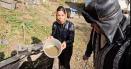 Apocalipsa secetei! Bilant oficial dur al lipsei de apa in Romania