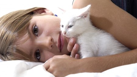 Efectele benefice ale pisicii asupra bolilor si energiilor negative