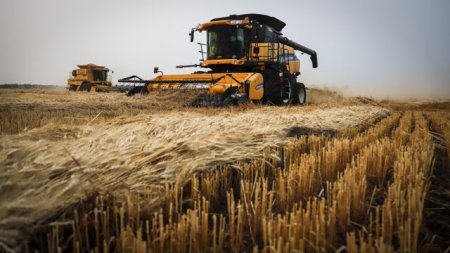 Ministrul Agriculturii cere bancilor solutii pentru creditele fermierilor afectati de seceta