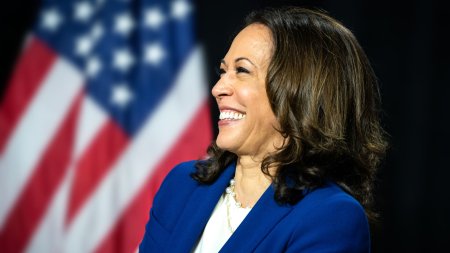 Are Kamala Harris ceea ce este necesar pentru a-l invinge pe Trump? Ce spun sondajele