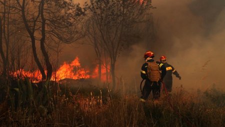 Incendiile de vegetatie iau amploare in SUA. Peste 30 de milioane de americani sunt vizati de alerte de canicula