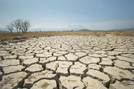 Ministrul Agriculturii a cerut bancilor solutii pentru creditele fermierilor afectati de seceta severa