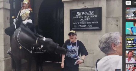 Momentul in care calul regalitatii britanice de la Household Cavalry din Londra musca o turista de brat VIDEO