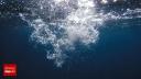 Un fenomen misterios produce oxigen pe fundul oceanului, iar cercetatorii nu inteleg cum: 