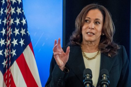 De ce nuca de <span style='background:#EDF514'>COCO</span>s a devenit un simbol de sustinere pentru Kamala Harris