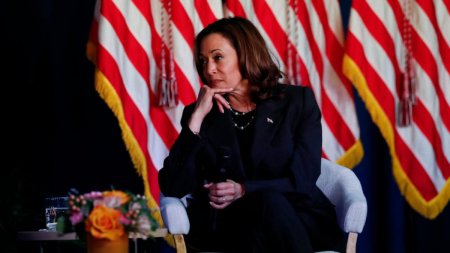 Propagandistii lui Putin o ataca grobian pe Kamala Harris: O <span style='background:#EDF514'>BABA</span>, mai rau decat o maimuta cu o grenada