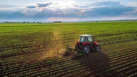 PSD ia o masura vitala de sustinere a <span style='background:#EDF514'>AGRI</span>cultorilor romani pentru care s-a luptat luni intregi cu Comisia Europeana