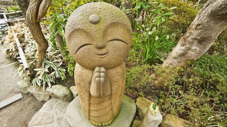 Ghidul zilnic de intelepciune: Principii budiste pentru o viata mai armonioasa