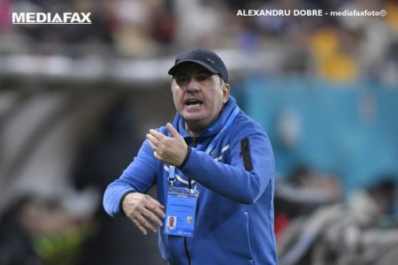 Mihai Stoichita a anuntat ca Gheorghe Hagi este prima optiune pentru noul selectioner