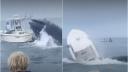 Momentul in care o balena rastoarna o barca pe Coasta de Est din SUA. Pescarii au fost salvati