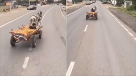 Un barbat a pus viata mai multor soferi in pericol: Circula haotic cu caruta, pe un drum national din Targoviste