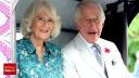 Cat a costat cea mai scumpa calatorie a familiei regale britanice. Charles si Camilla au avut un zbor de lux spre <span style='background:#EDF514'>AFRICA</span>